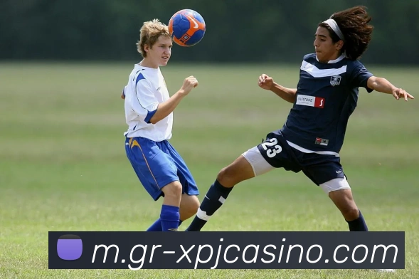 新葡京娱乐APP 封面图